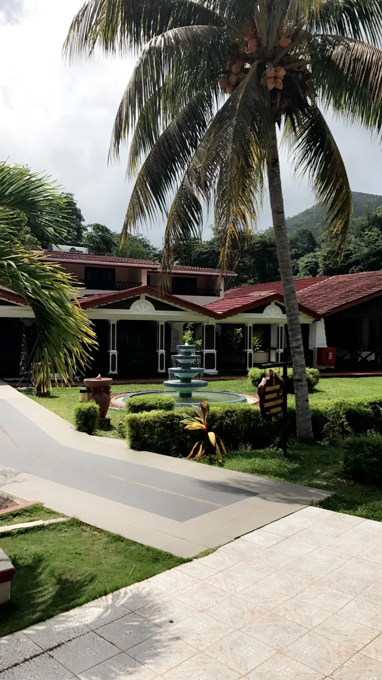 Coco de mer dans la Vallée de Mai à Praslin